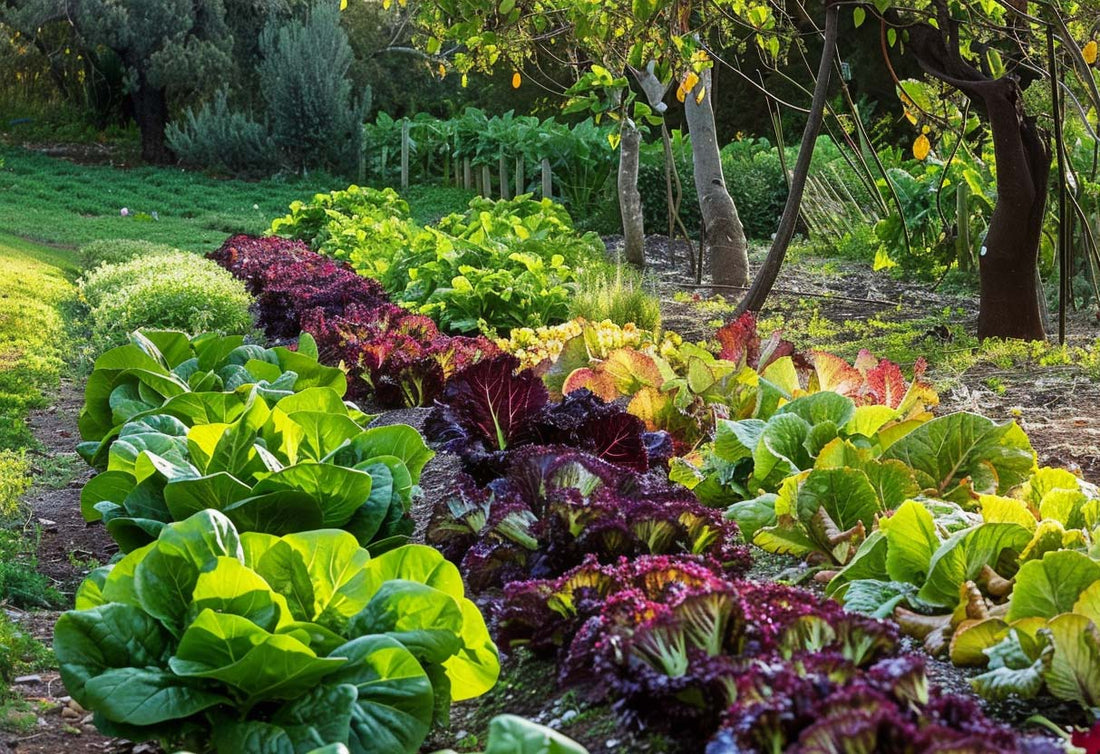 Tipps zur Reduzierung des CO2-Fußabdrucks im Gartenbau